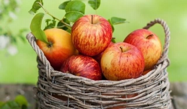6 loại trái cây có lợi cho hệ tiêu hóa các mẹ nên cho con ăn thường xuyên