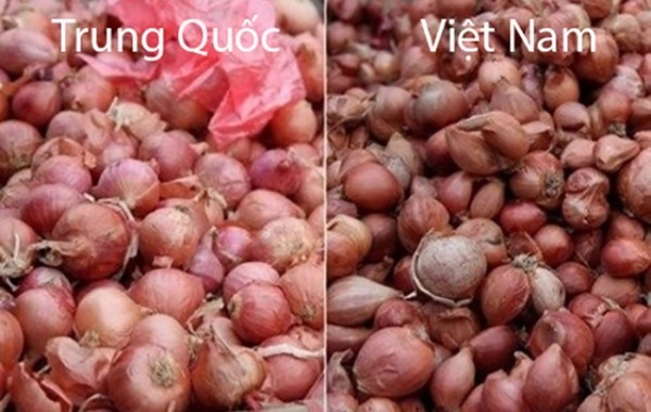 Cách phân biệt hành khô Việt Nam và hành khô Trung Quốc