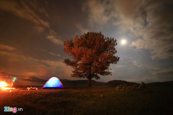 Cắm trại bên 'cây cô đơn' ở Đà Lạt