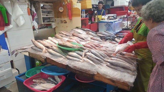 Đi chợ hải sản lớn nhất Hàn Quốc