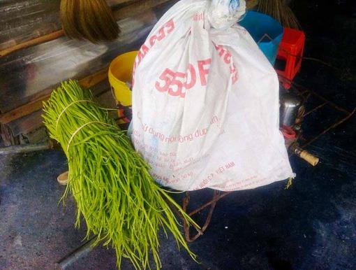 Cả 3 cơ sở đều khai nhận mua gói hóa chất nhuộm, in quần áo ở chợ Kim Biên về hòa với nước rồi ngâm rau muống vào cho xanh tươi.