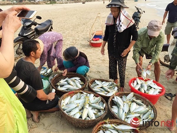 Miền Trung: Nước biển an toàn, vẫn không nên ăn hải sản tầng đáy trong 20 hải lý
