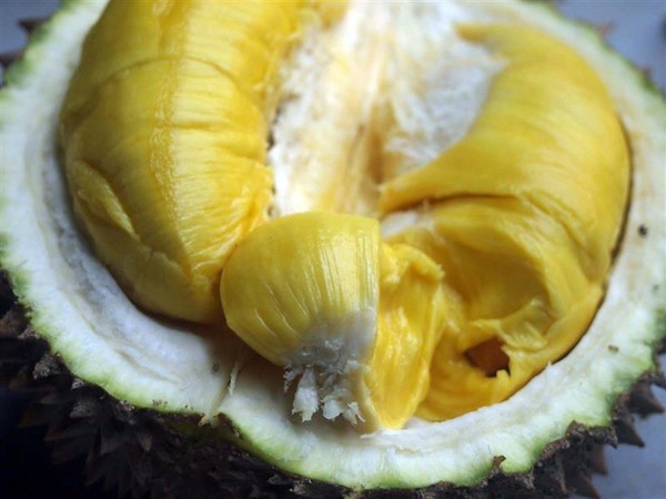 Những tác dụng phụ bạn cần biết khi ăn nhiều sầu riêng