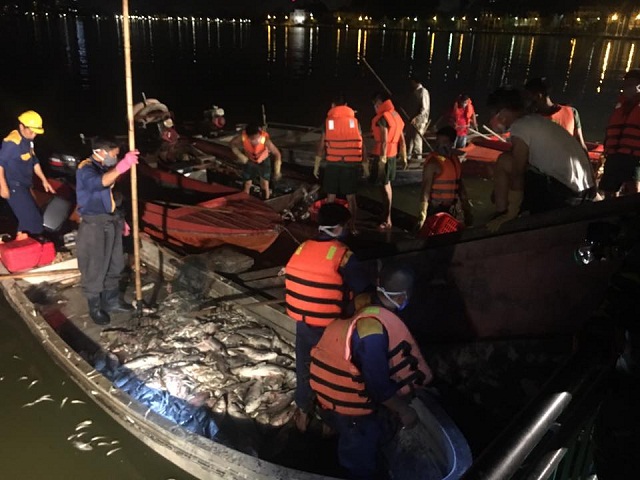 Hà Nội: Trắng đêm vớt cá chết ở Hồ Tây