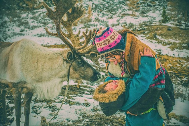 'Cô gái Việt sống cùng bộ lạc chăn nuôi tuần lộc ở Mông Cổ