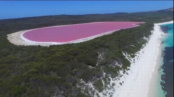 Đã tìm ra lời giải về hồ nước màu hồng bí ẩn ở Úc