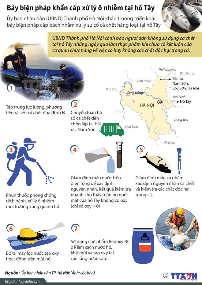 Biện pháp xử lý ô nhiễm sau vụ cá chết ở Hồ Tây