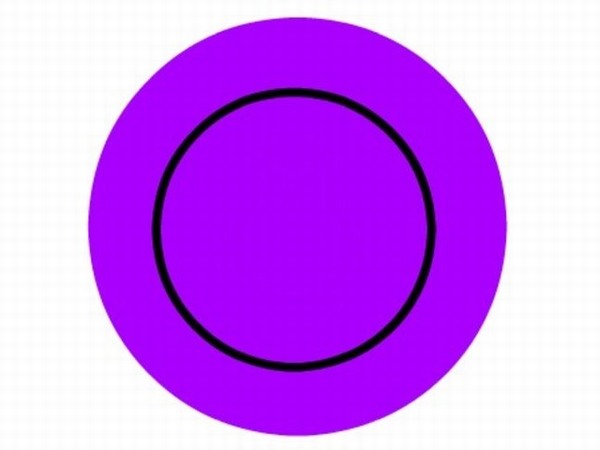 Nhìn ra ảnh chìm trong 7 vòng tròn này, thị lực của bạn còn hơn 10/10