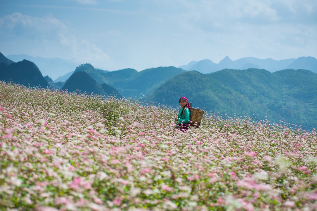 'Những địa điểm check-in đẹp dọc Việt Nam vào mùa thu