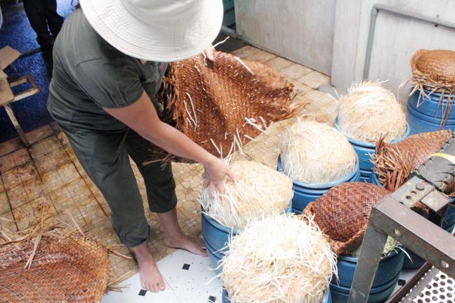 Ớn lạnh giá đỗ tẩm hóa chất tràn lan thị trường Việt: Hiểm họa cho người tiêu dùng