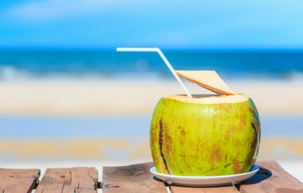 Vì sao khi đi nắng chớ nên uống nước dừa giải nhiệt?