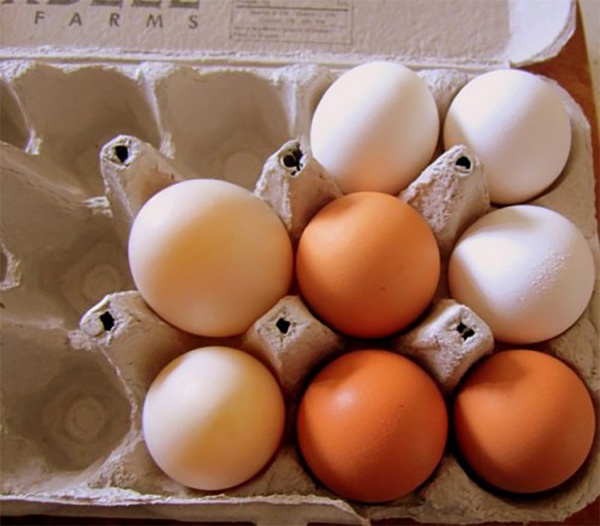 Nếu thường xuyên ăn trứng, bạn không nên bỏ qua thông tin này