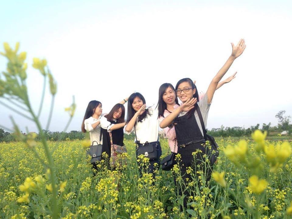Ngỡ ngàng với cánh đồng hoa cải vàng rực rỡ đẹp bậc nhất Việt Nam