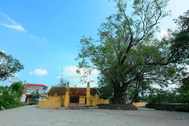 'Ngôi làng 500 tuổi ở Hà Nội
