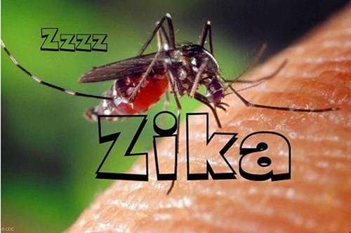 Phát hiện 20 trường hợp nhiễm virus Zika tại TP HCM