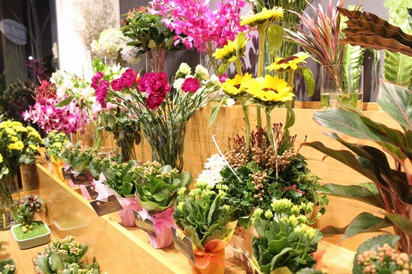 Shop hoa mang tên chuyện tình đẹp Casablanca chính thức khai trương