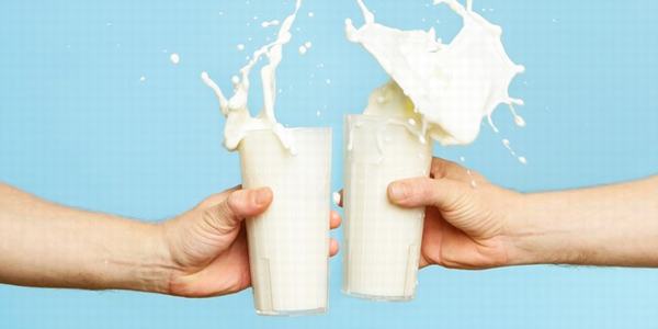 Điều gì xảy ra nếu bạn uống sữa quá nhiều