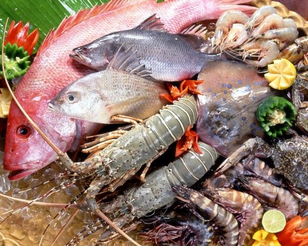 Cách chọn hải sản tươi ngon, an toàn, không hóa chất cho ngày Đông