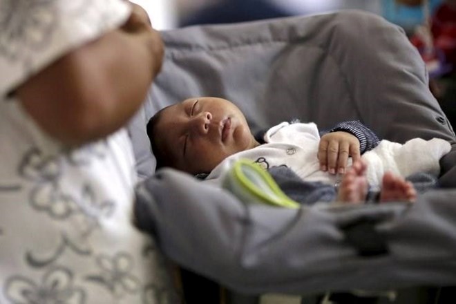 Chỉ 1-10% thai nhi bị ảnh hưởng Zika