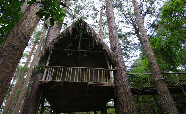 Muốn du lịch mới mẻ hãy quên resort, khách sạn đi để ở 3 ngôi nhà trên cây này!