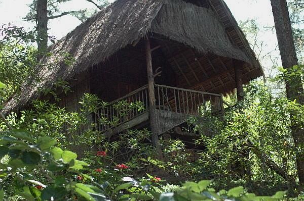 Muốn du lịch mới mẻ hãy quên resort, khách sạn đi để ở 3 ngôi nhà trên cây này!