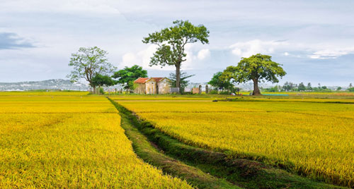 Tour du lịch đồng quê hoài niệm hút khách đến Khánh Hòa