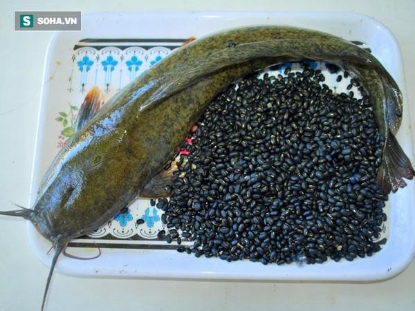 Bài thuốc bổ thận từ cá trê và đậu đen: Quý ông yếu thận không thể không ăn