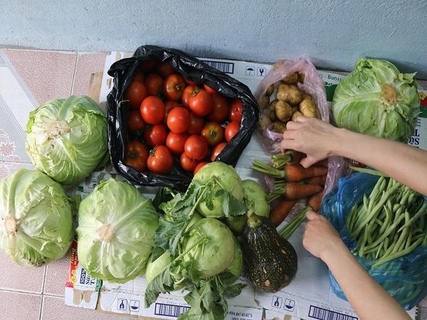 Đà Nẵng: Rau củ đắt hơn thịt bò, mẹ gửi rau quê vượt 500 km cho con