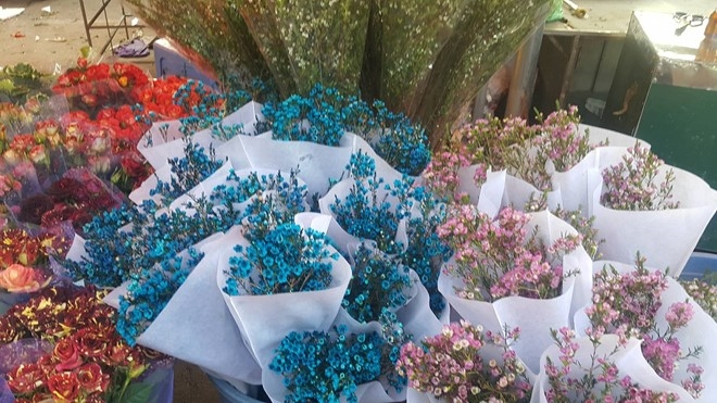 Hoa sao khô 'nhuộm' phẩm màu hóa chất Trung Quốc ngập chợ Tết