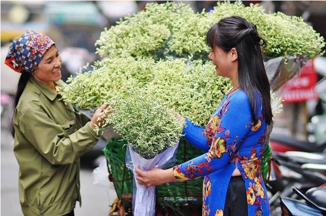 Hoa sao khô tẩm phẩm màu độc hại 'bung lụa' dịp Tết Đinh Dậu 2017