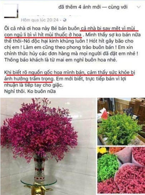 Hoa sao khô tẩm phẩm màu độc hại 'bung lụa' dịp Tết Đinh Dậu 2017