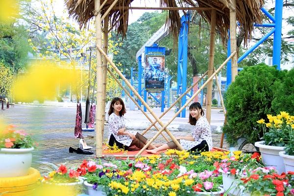 Những điểm vui Tết Đinh Dậu không thể bỏ qua tại Hà Nội, TP.HCM, Đà Nẵng, Hội An