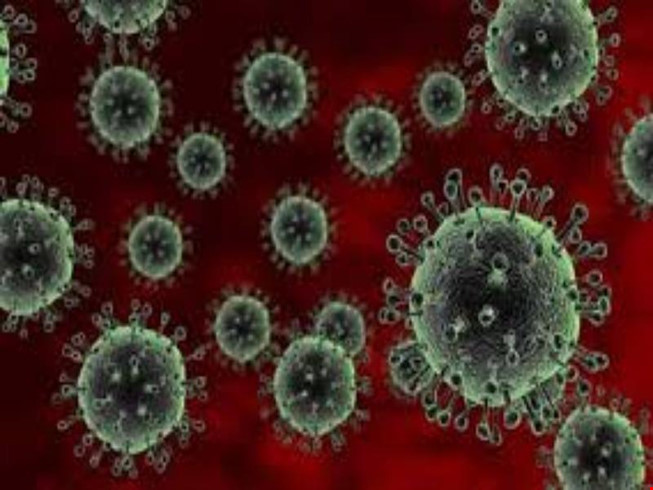 Cúm gia cầm A/H7N9 vẫn 'tấn công' khi ăn gà đông lạnh