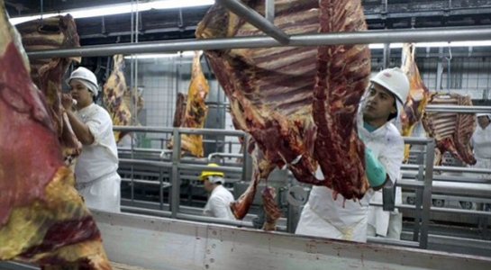 Cục Thú y: 3000 tấn thịt nhập từ Brazil không 'dính' đến các nhà máy bị điều tra