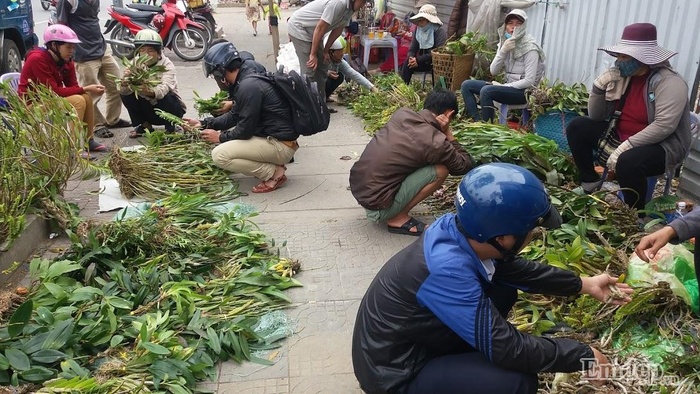 Cuối tuần đi 'chợ lan rừng' mua lan theo kg, theo bó duy nhất giữa Đà thành