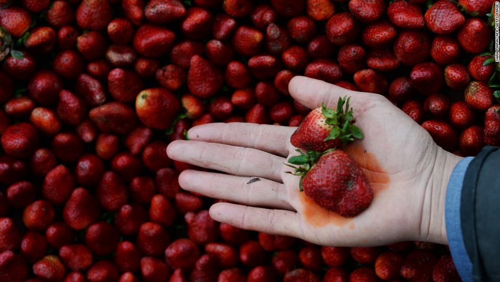 Mỹ cảnh báo dâu tây là trái cây chứa nhiều thuốc trừ sâu nhất