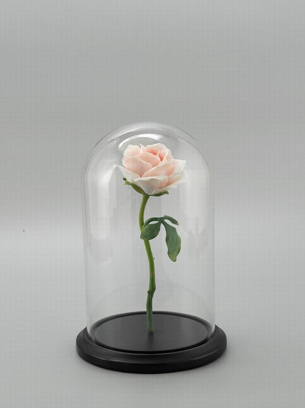 Quà tặng 8.3: Hoa hồng 