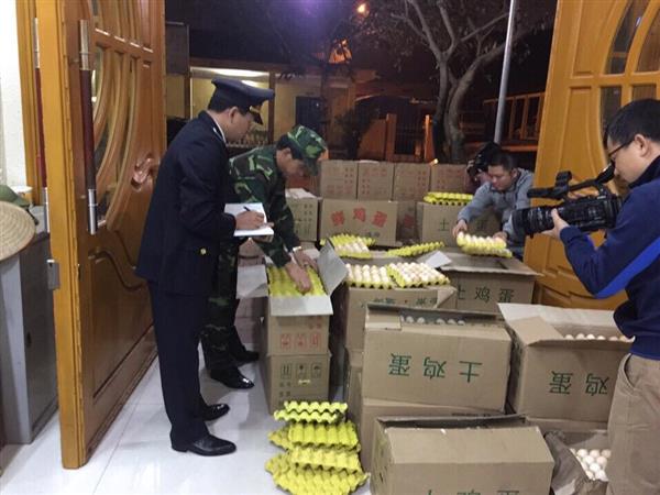 'Tóm gọn' hàng trăm ngàn trứng gà Trung Quốc chuyển lậu