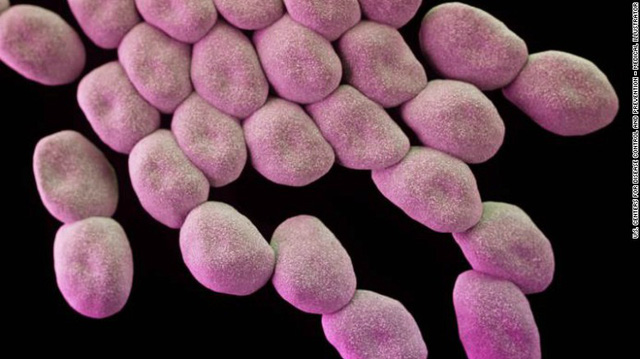 WHO vừa công bố danh sách 12 siêu vi khuẩn kháng kháng sinh nguy hiểm nhất thế giới, 3 trong số đó gần như không còn cách trị