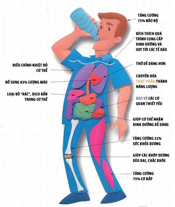 Dựa theo cân nặng để biết mình cần uống bao nhiêu nước mỗi ngày