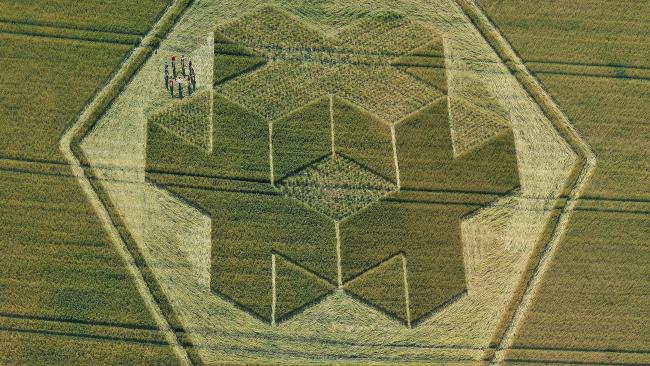 Giải mã thông điệp bí ẩn từ những vòng tròn trên cánh đồng
