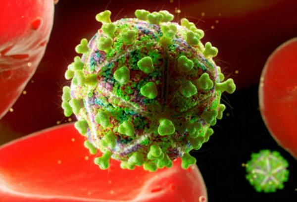 Phương pháp xét nghiệm tìm virus HIV ở nơi không ngờ tới