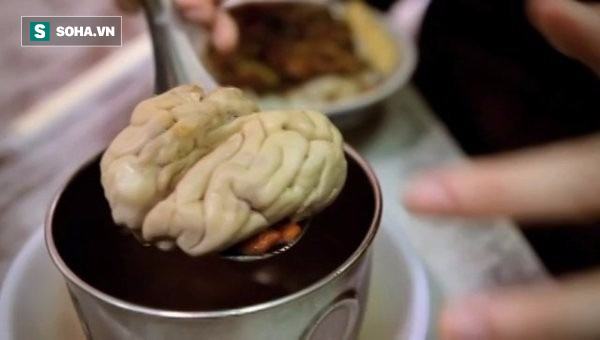 Cải thiện trí nhớ không cần dùng thuốc: 5 thực phẩm bổ não có nhiều ở Việt Nam