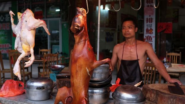 'Lễ hội thịt chó ở Trung Quốc đông nghịt người bất chấp tranh cãi