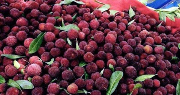 Sự thật những loại trái cây nhập khẩu siêu đắt đỏ ở Việt Nam