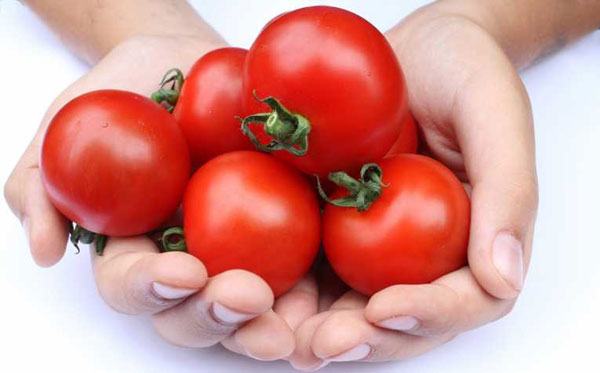 Cà chua là thực phẩm mang lại nhiều lợi ích cho sức khỏe, tuy nhiên, nếu sử dụng không đúng cách, bạn có thể rước bệnh vào thân.