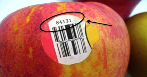 Chiếc tem 'nhỏ nhưng có võ' trên trái cây nhập khẩu tiết lộ cho bạn điều gì?