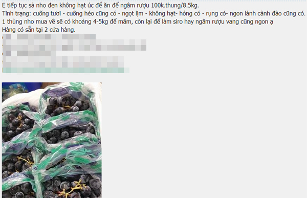 Hà Nội: Sau nho móng tay, lại xuất hiện nho đen không hạt giá siêu rẻ, chỉ 4.000 đồng/kg