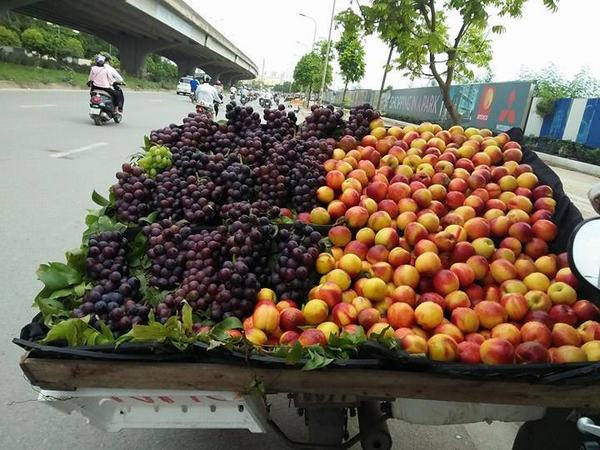 Hà Nội: Tràn lan hoa quả giá siêu rẻ, nguồn gốc ở đâu?