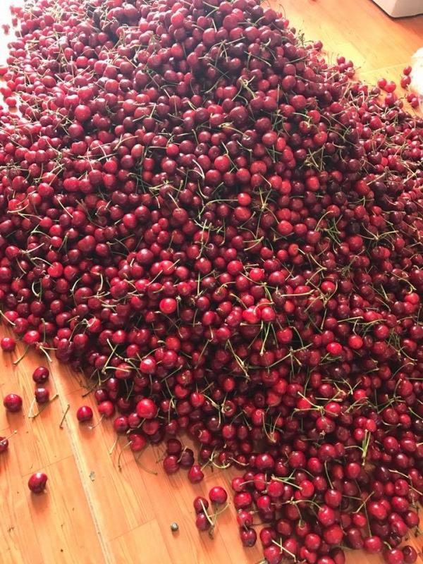 Hoang mang với cherry Trung Quốc được chào bán giá 120k/kg ở Lạng Sơn